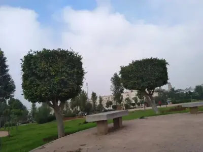 مقاطعة عين الشق تسرع إخراج المنتزه الإيكولوجي بحديقة «كازانييرشور»

